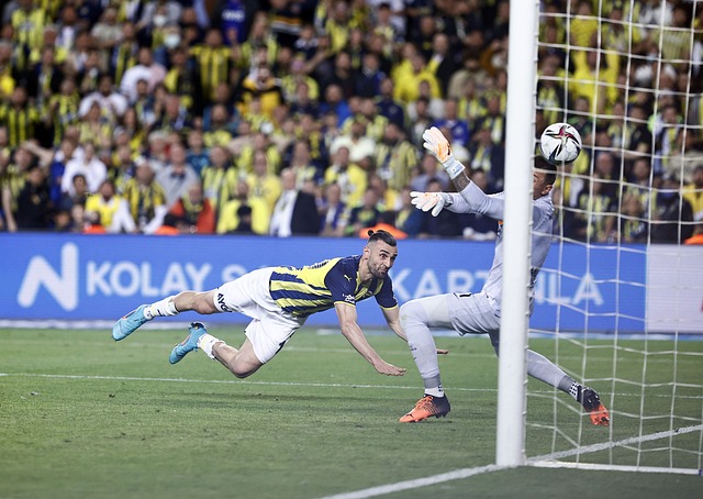 度投资而引 度投资而引