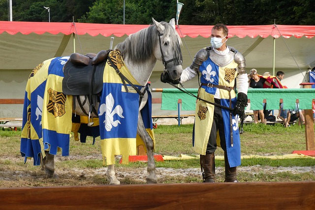 总结这场惊 总结这场惊