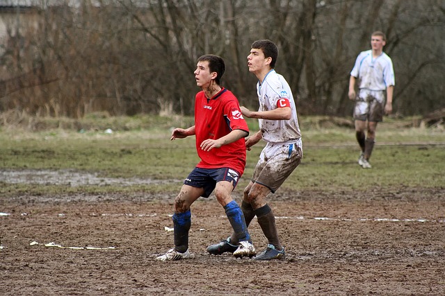 从伦纳德和 从伦纳德和