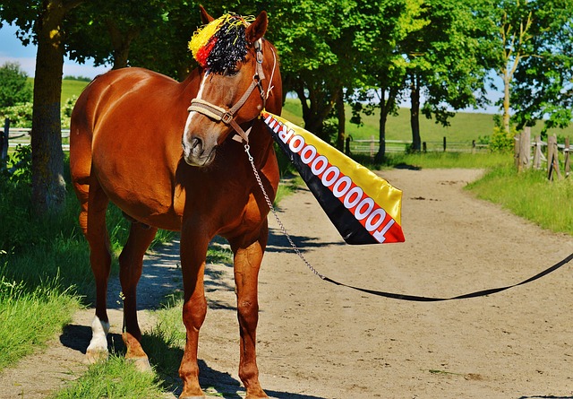 同时也为球 同时也为球