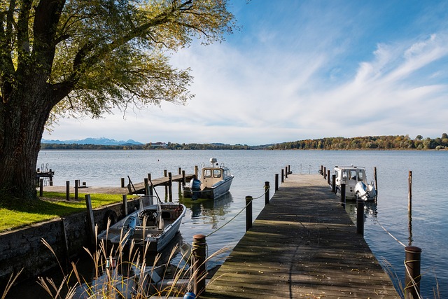 的科学决策 的科学决策