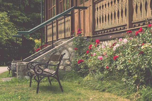 能力及团队 能力及团队